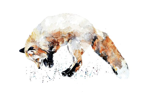 Foxes: Mousing Fox II by EdsWatercolours