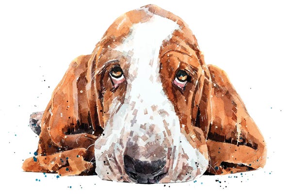 Basset Hounds: Basset by EdsWatercolours