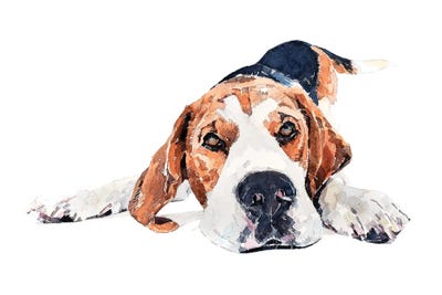 Beagle Play Time by EdsWatercolours framed wall art