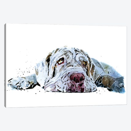 Neapolitan Mastiff Puppy Love Canvas Print #EWC142} by EdsWatercolours Art Print