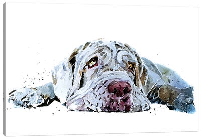 Neapolitan Mastiff Puppy Love Canvas Art Print