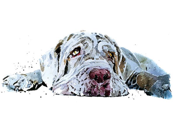 EdsWatercolours: Neapolitan Mastiff Puppy Love by EdsWatercolours