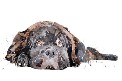 Newfoundland Dog Art: Canvas Prints & Wall Art | ICanvas