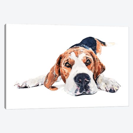Beagle Play Time Canvas Print #EWC14} by EdsWatercolours Canvas Wall Art