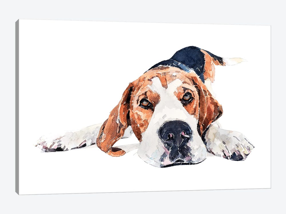 Beagle Play Time by EdsWatercolours 1-piece Canvas Print