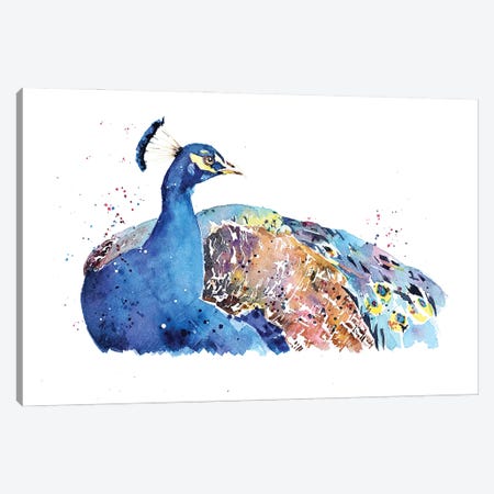 Peacock Canvas Print #EWC157} by EdsWatercolours Canvas Print
