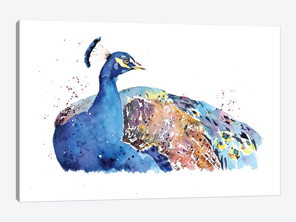 Peacock by EdsWatercolours 1-piece Canvas Art