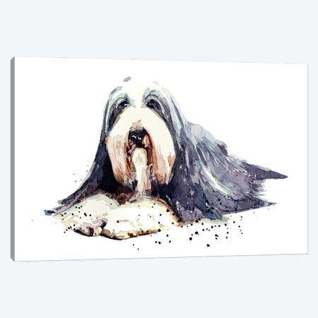 Bearded Collie I Canvas Print #EWC15} by EdsWatercolours Canvas Wall Art