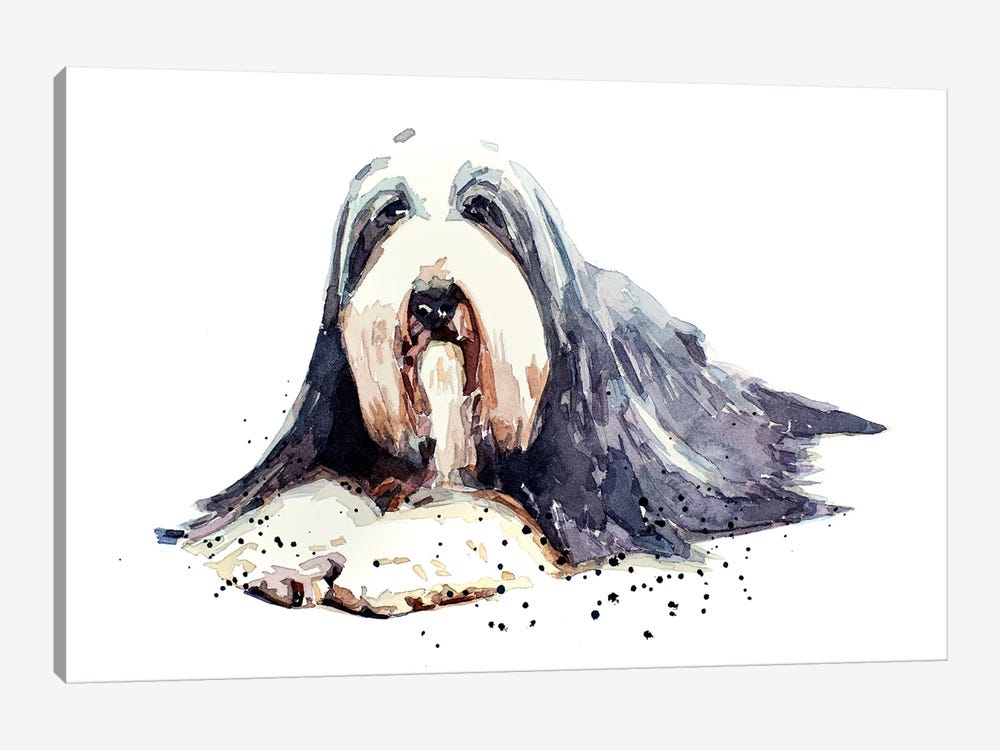 Bearded Collie I by EdsWatercolours 1-piece Canvas Wall Art