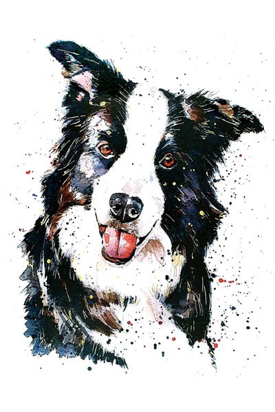 Border Collies: Pursuit Of Happiness Border Collie by EdsWatercolours