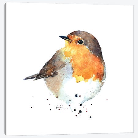 Red Breasted Robin Canvas Print #EWC167} by EdsWatercolours Canvas Artwork