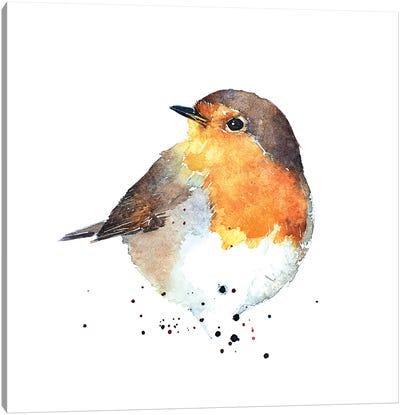 Red Breasted Robin Canvas Art Print - Robin Art