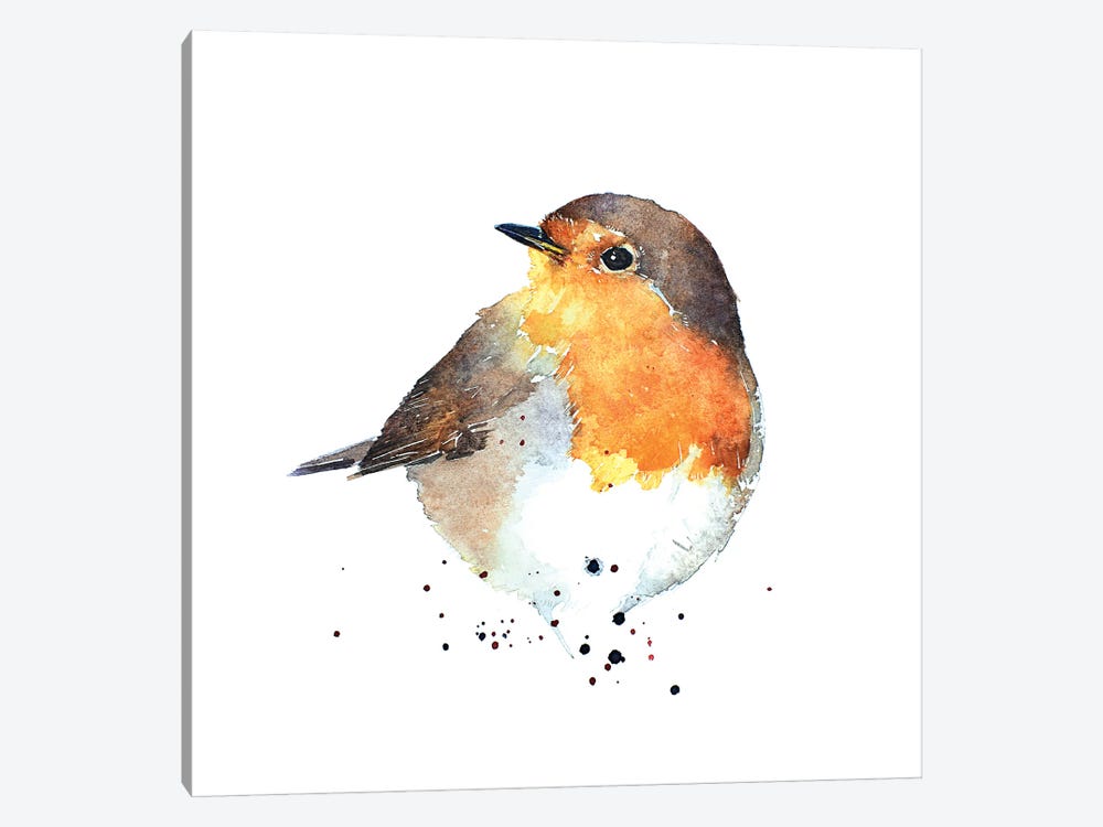Red Breasted Robin by EdsWatercolours 1-piece Canvas Print