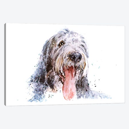 Bearded Collie II Canvas Print #EWC16} by EdsWatercolours Canvas Wall Art