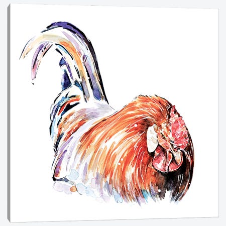 Rooster Canvas Print #EWC172} by EdsWatercolours Canvas Artwork