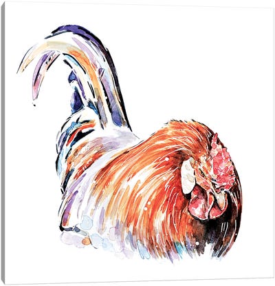 Rooster Canvas Art Print - EdsWatercolours