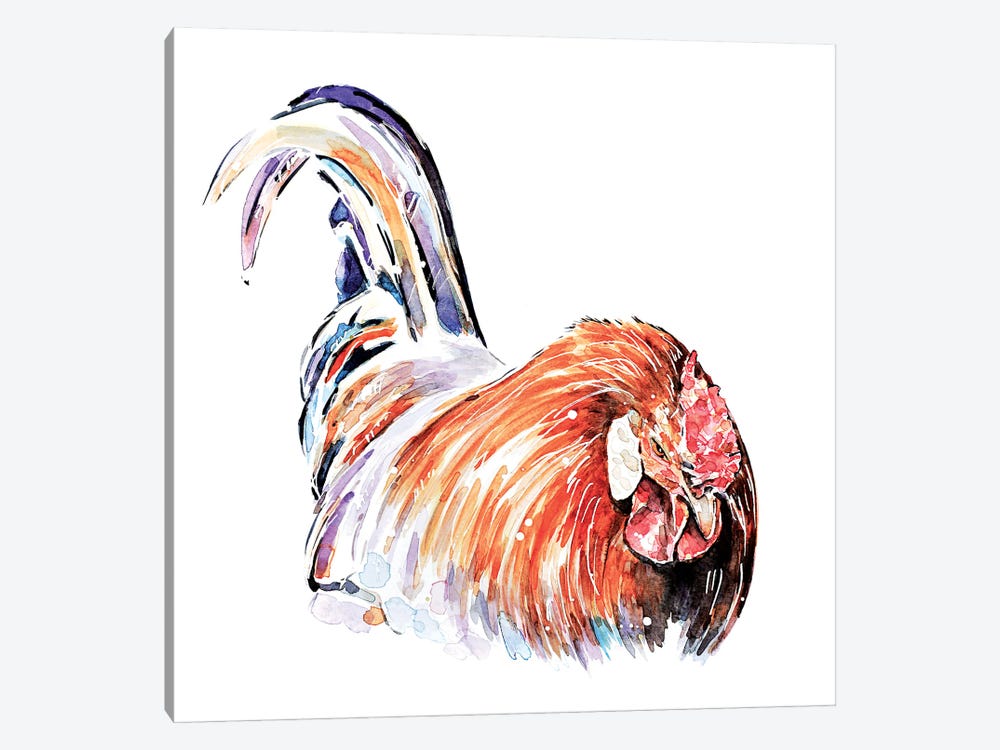Rooster by EdsWatercolours 1-piece Art Print
