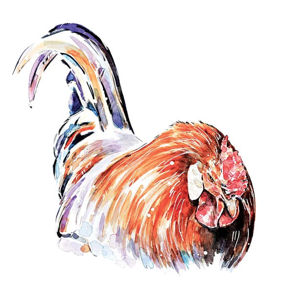 EdsWatercolours: Rooster by EdsWatercolours
