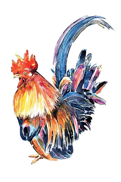 EdsWatercolours: Rooster by EdsWatercolours