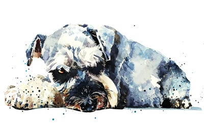 Schnauzer I by EdsWatercolours framed canvas print