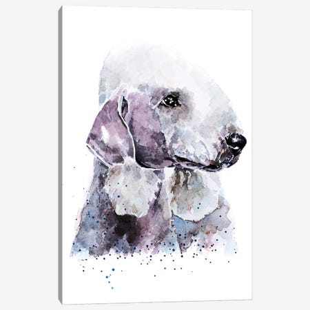 Bedlington Terrier I Canvas Print #EWC17} by EdsWatercolours Canvas Artwork