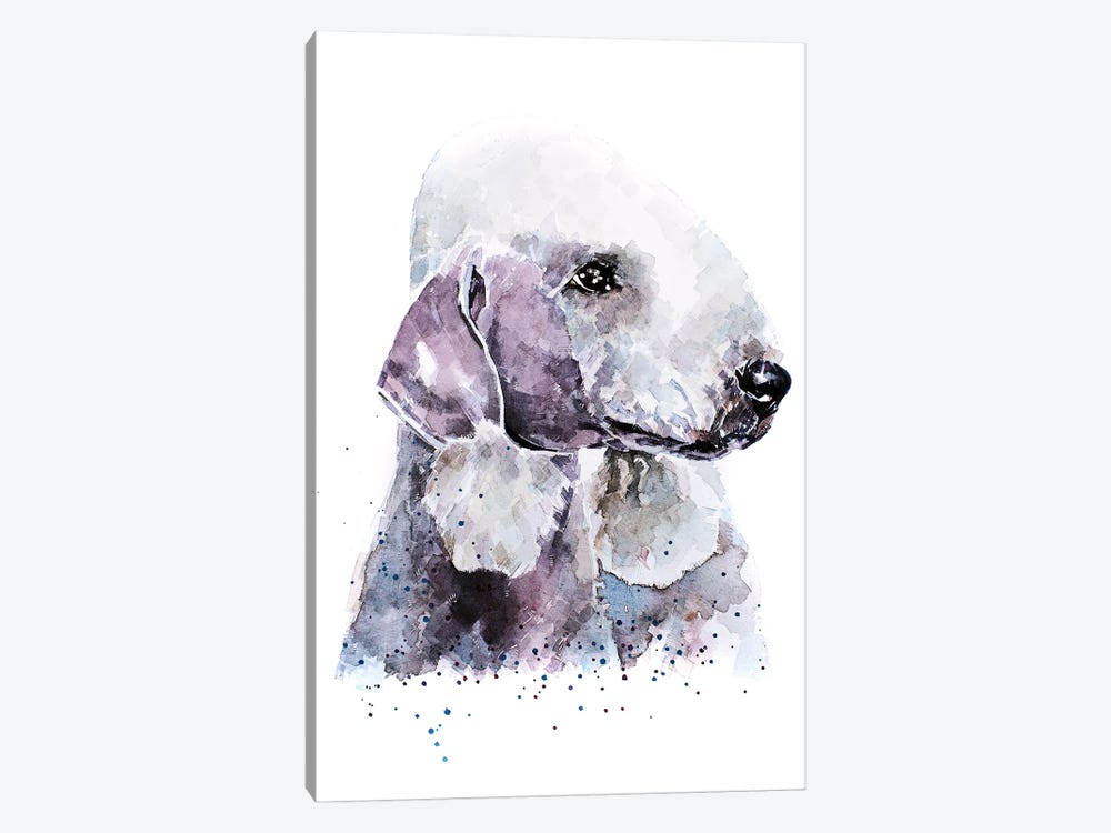 Bedlington Terrier I by EdsWatercolours 1-piece Canvas Artwork