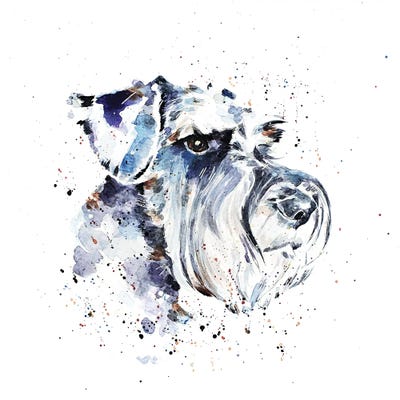 Schnauzer II by EdsWatercolours framed canvas print
