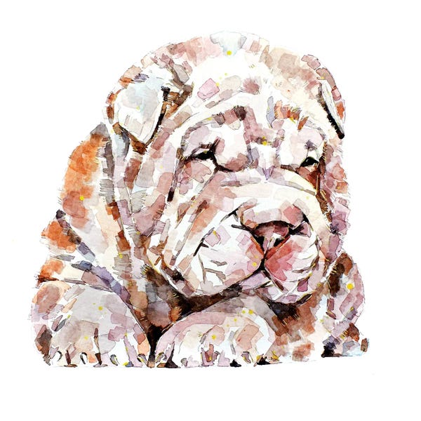 Shar-Peis: Shar Pei by EdsWatercolours