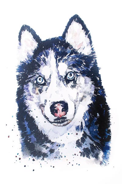 Siberian Husky by EdsWatercolours metal wall art
