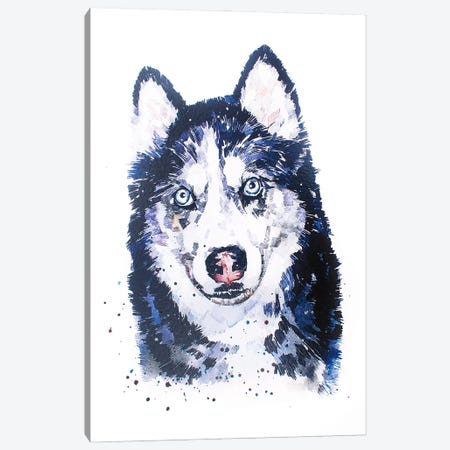 Siberian Husky Canvas Print #EWC182} by EdsWatercolours Art Print