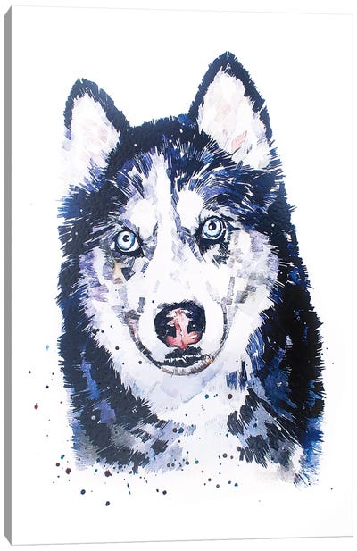 Siberian Husky Canvas Art Print - EdsWatercolours