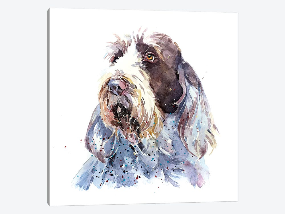 Spinone I by EdsWatercolours 1-piece Art Print