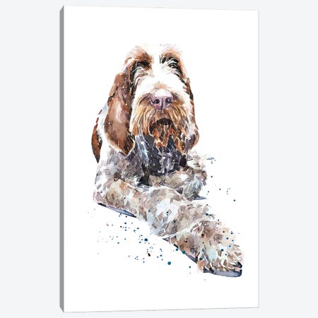 Spinone II Canvas Print #EWC184} by EdsWatercolours Canvas Wall Art