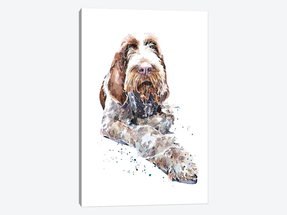 Spinone II by EdsWatercolours 1-piece Canvas Wall Art