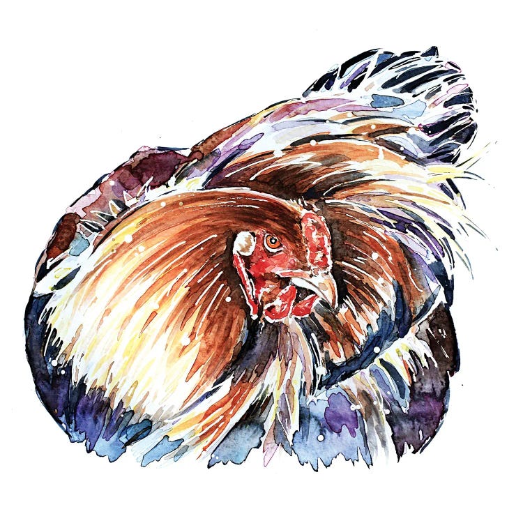 Stink Eye Hen by EdsWatercolours  wall art