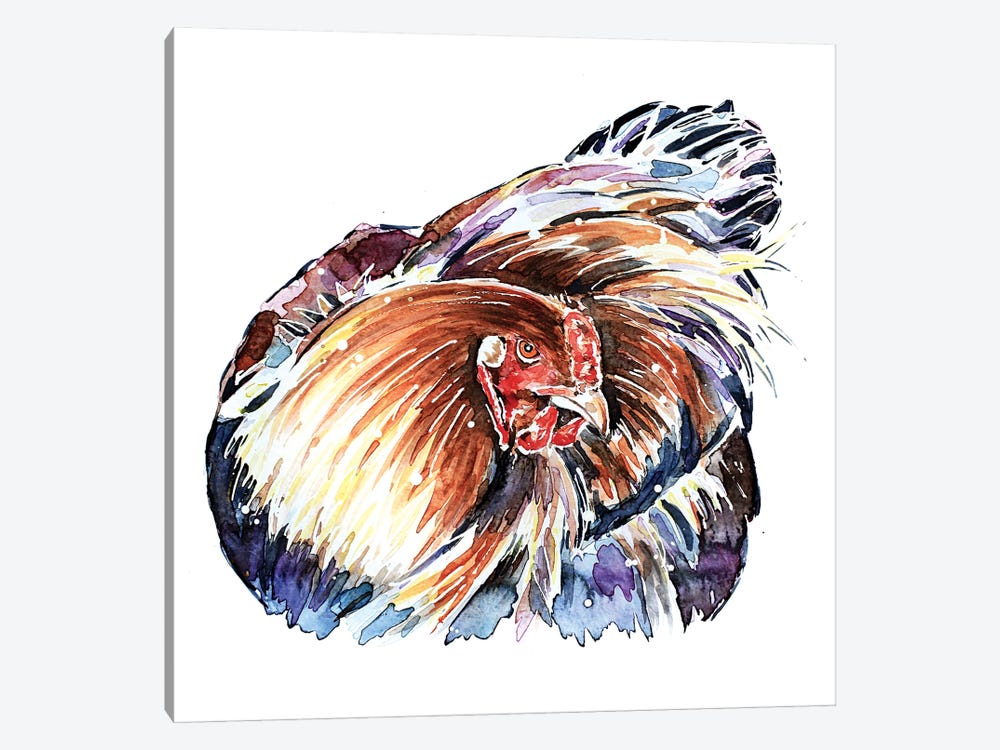 Stink Eye Hen by EdsWatercolours 1-piece Canvas Artwork
