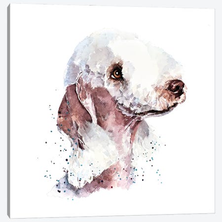 Bedlington Terrier II Canvas Print #EWC18} by EdsWatercolours Art Print
