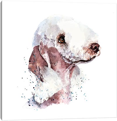 Bedlington Terrier II Canvas Art Print