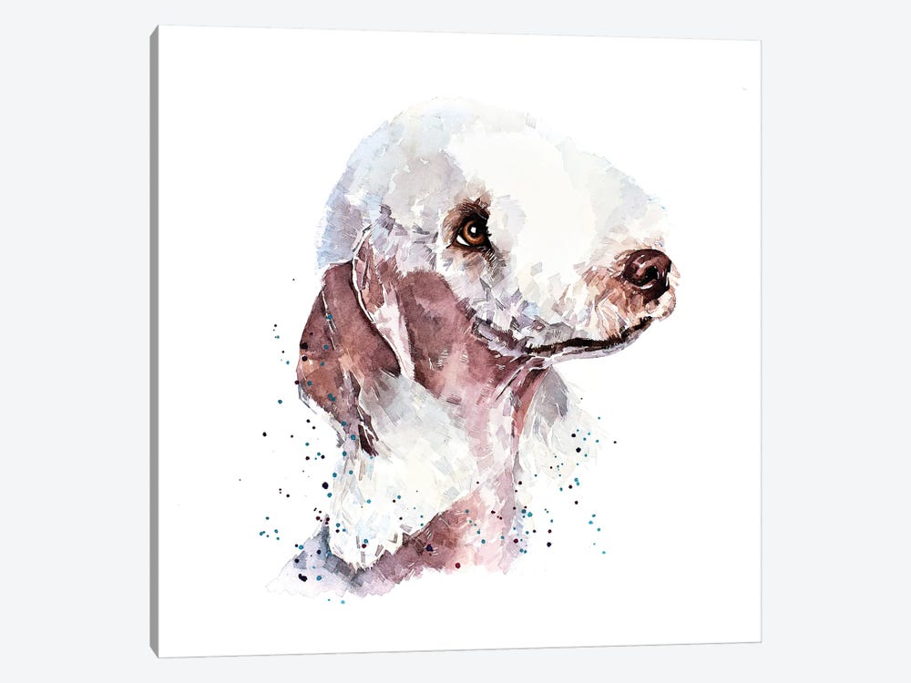 Bedlington Terrier II by EdsWatercolours 1-piece Art Print