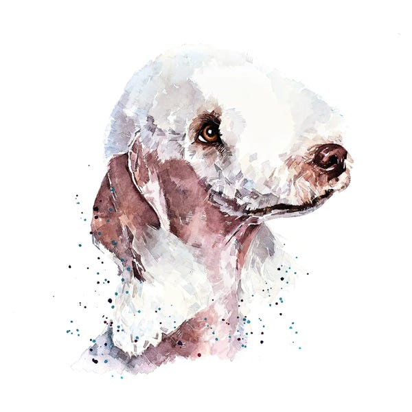 EdsWatercolours: Bedlington Terrier II by EdsWatercolours