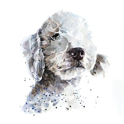 Bedlington Terrier III by EdsWatercolours framed wall art