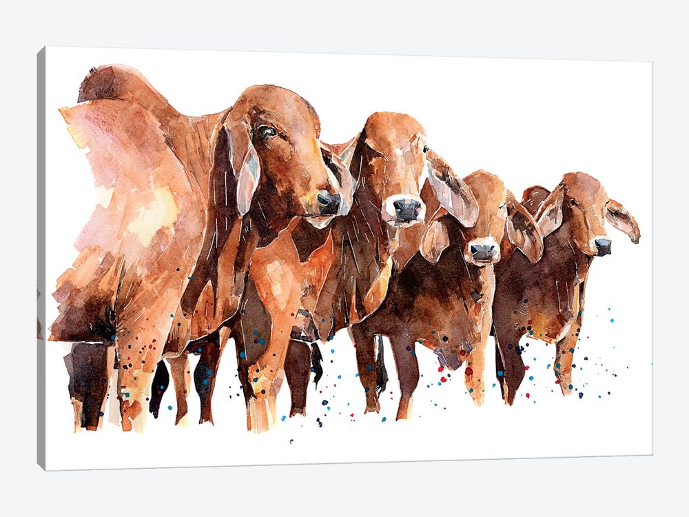 Texan Brahmans by EdsWatercolours 1-piece Canvas Art