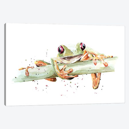 Tree Frog Canvas Print #EWC199} by EdsWatercolours Canvas Artwork