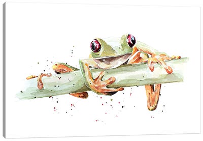 Tree Frog Canvas Art Print - EdsWatercolours