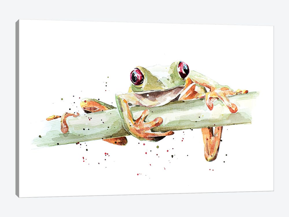 Tree Frog by EdsWatercolours 1-piece Canvas Artwork
