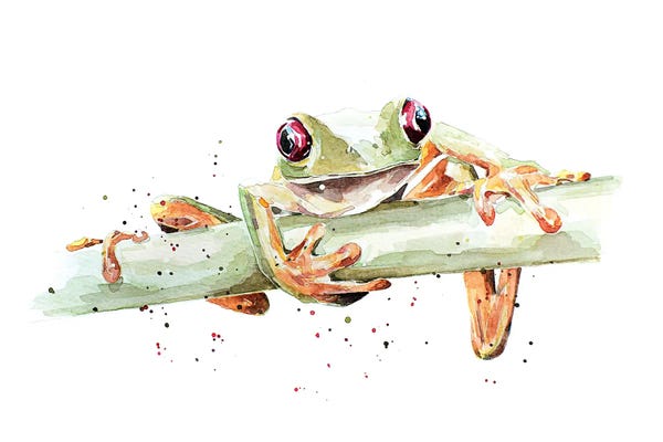 Frogs: Tree Frog by EdsWatercolours