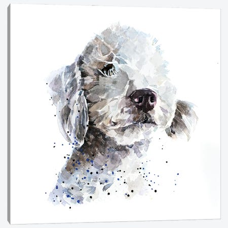 Bedlington Terrier III Canvas Print #EWC19} by EdsWatercolours Canvas Art Print