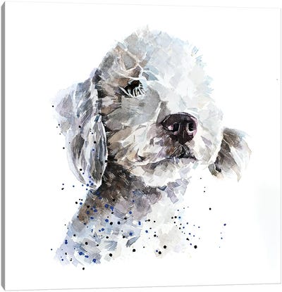 Bedlington Terrier III Canvas Art Print
