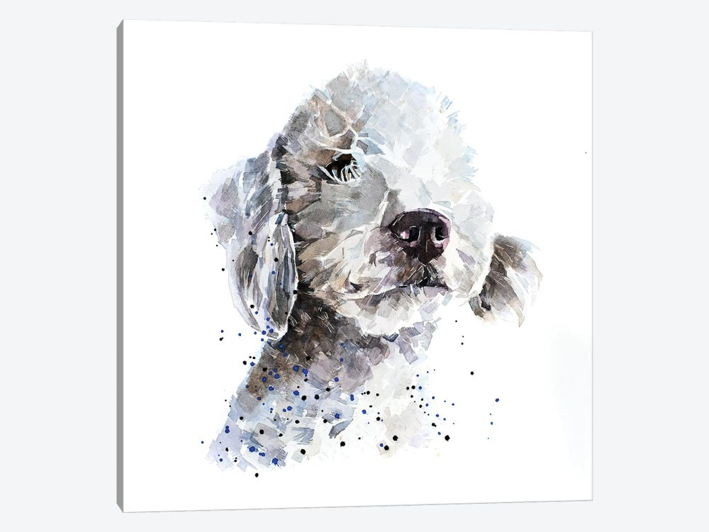 Bedlington Terrier III by EdsWatercolours 1-piece Canvas Artwork