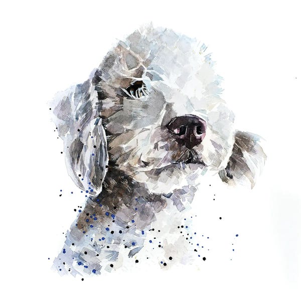 Bedlington Terriers: Bedlington Terrier III by EdsWatercolours